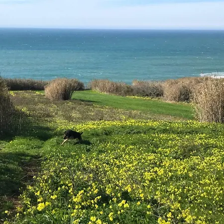 Family Surf - Private House